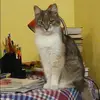 Отзыв от Юлия Серова